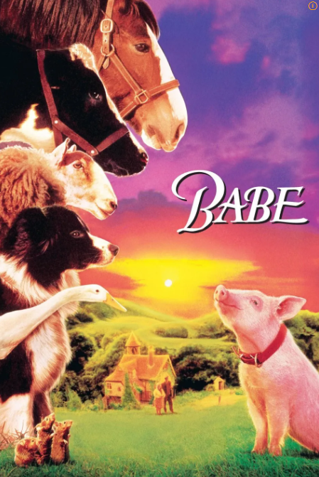 꼬마 돼지 베이브 영화 관련 사진