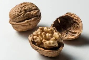호두 효능 섭취량 칼로리_43