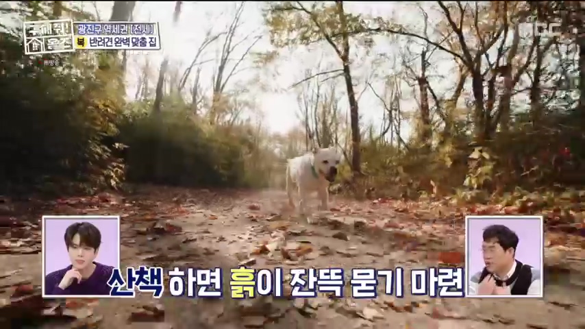 구해줘홈즈 댕댕하우스 동물병원 인접 서울시 광진구 중곡동 전세 매매 매물 가격 및 구조 인테리어 리모델링 최종선택 더보이즈 영훈 현재 소개