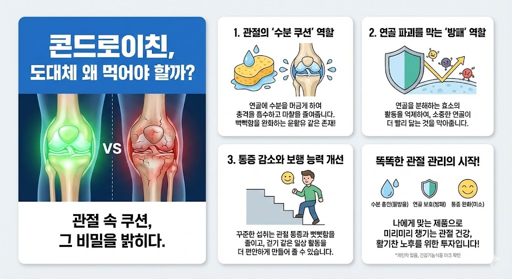 콘드로이친 효능