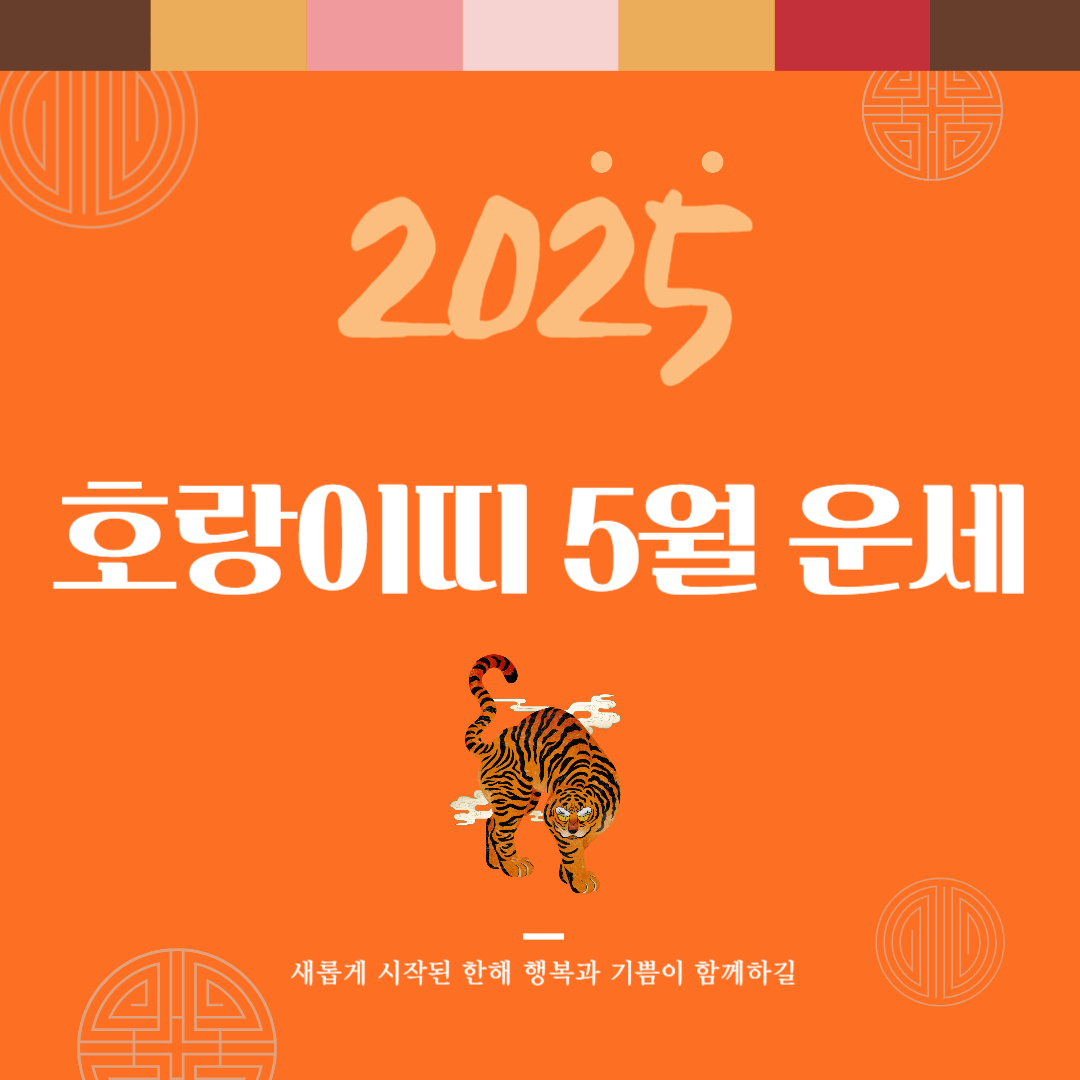 2025년 을사년 『호랑이띠』 5월 운세 썸네일