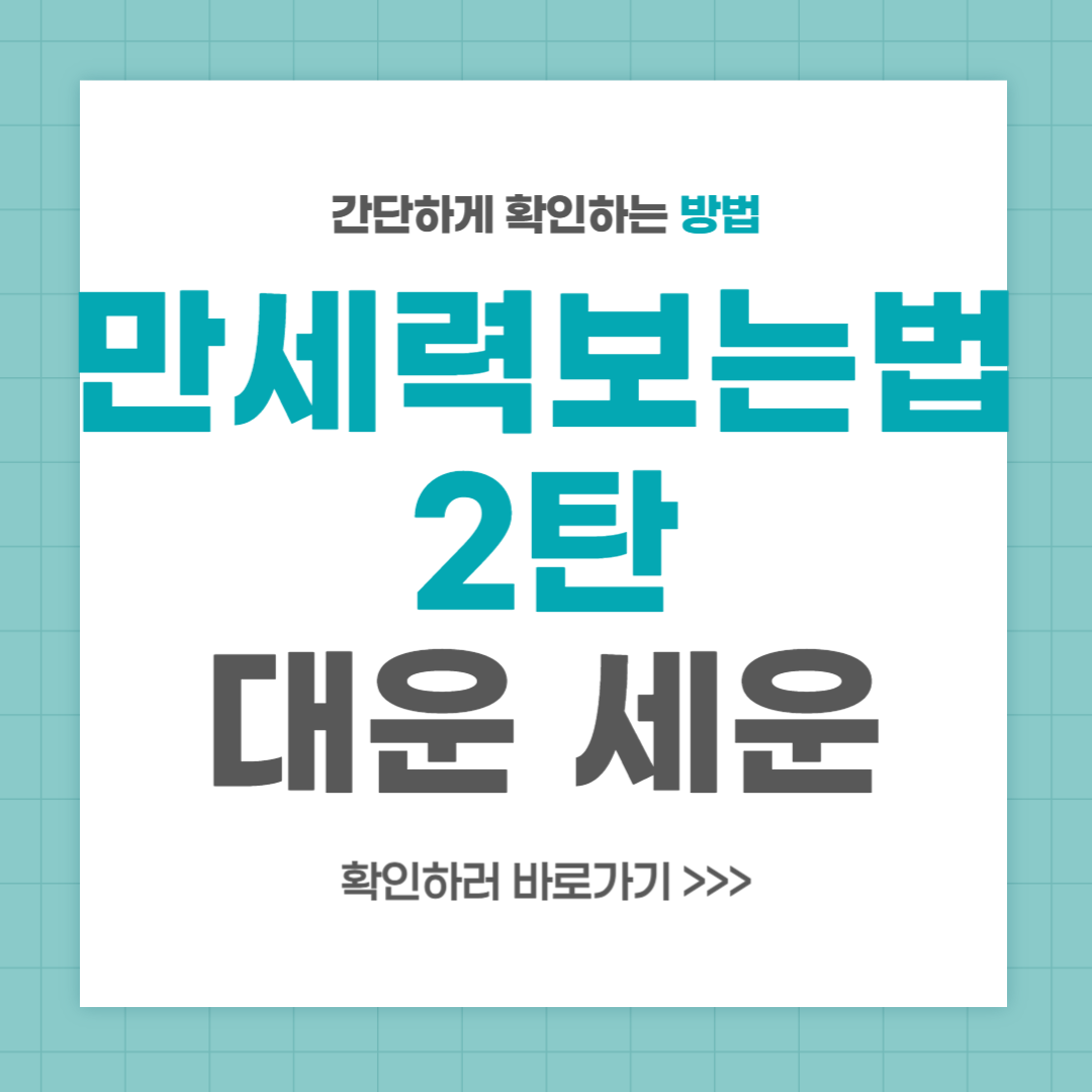 만세력 보는법 대운세운