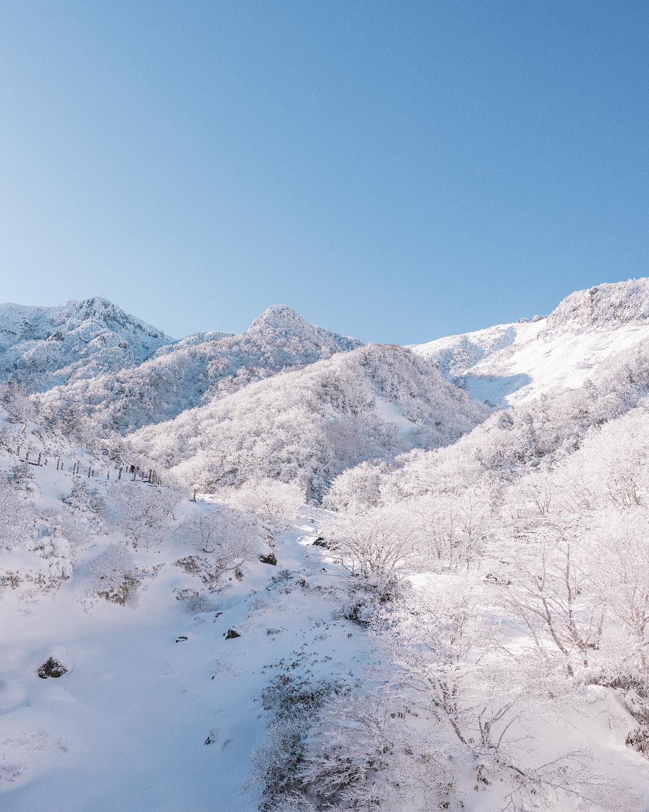 제주 겨울 여행 필수 추천 코스 놓치지 마세요!
