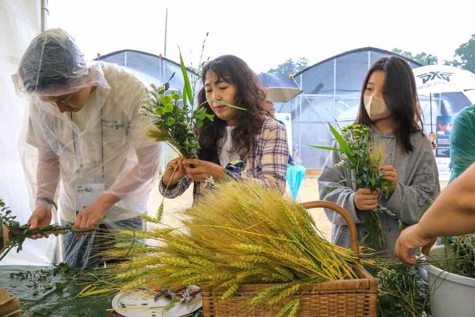 양평밀축제