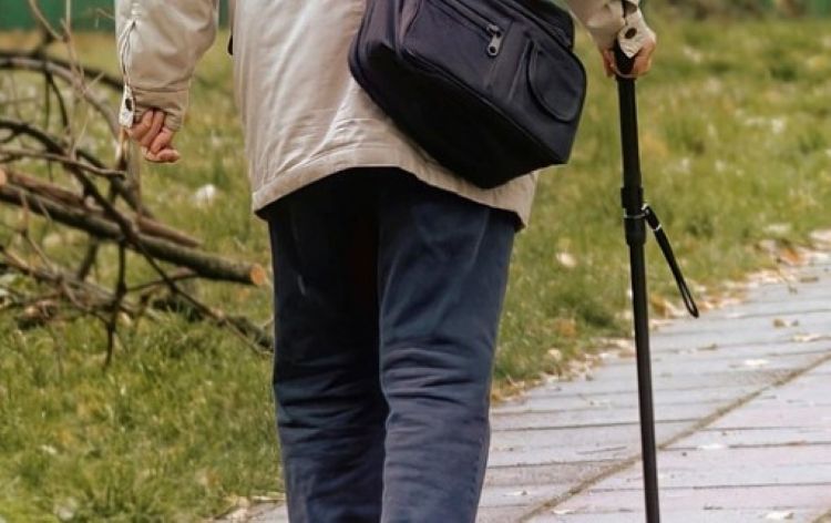 지팡이를 짚고 천천히 걷는 노인의 뒷모습, 관절통과 보행 보조