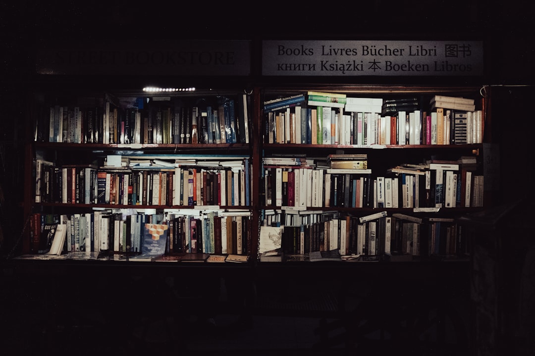 Novel