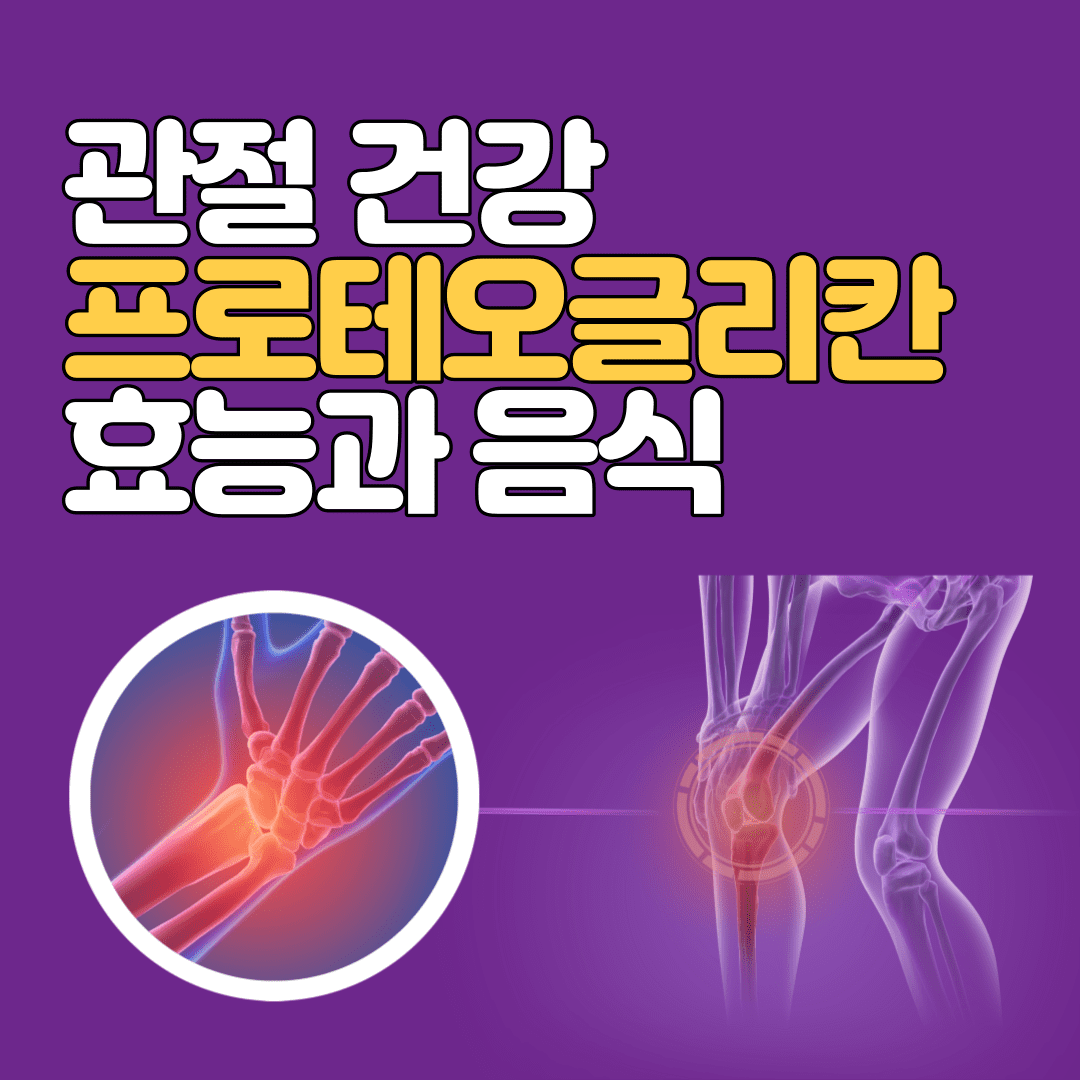 프로테오글리칸효능