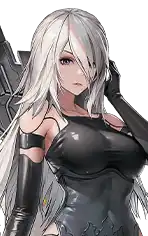 A2