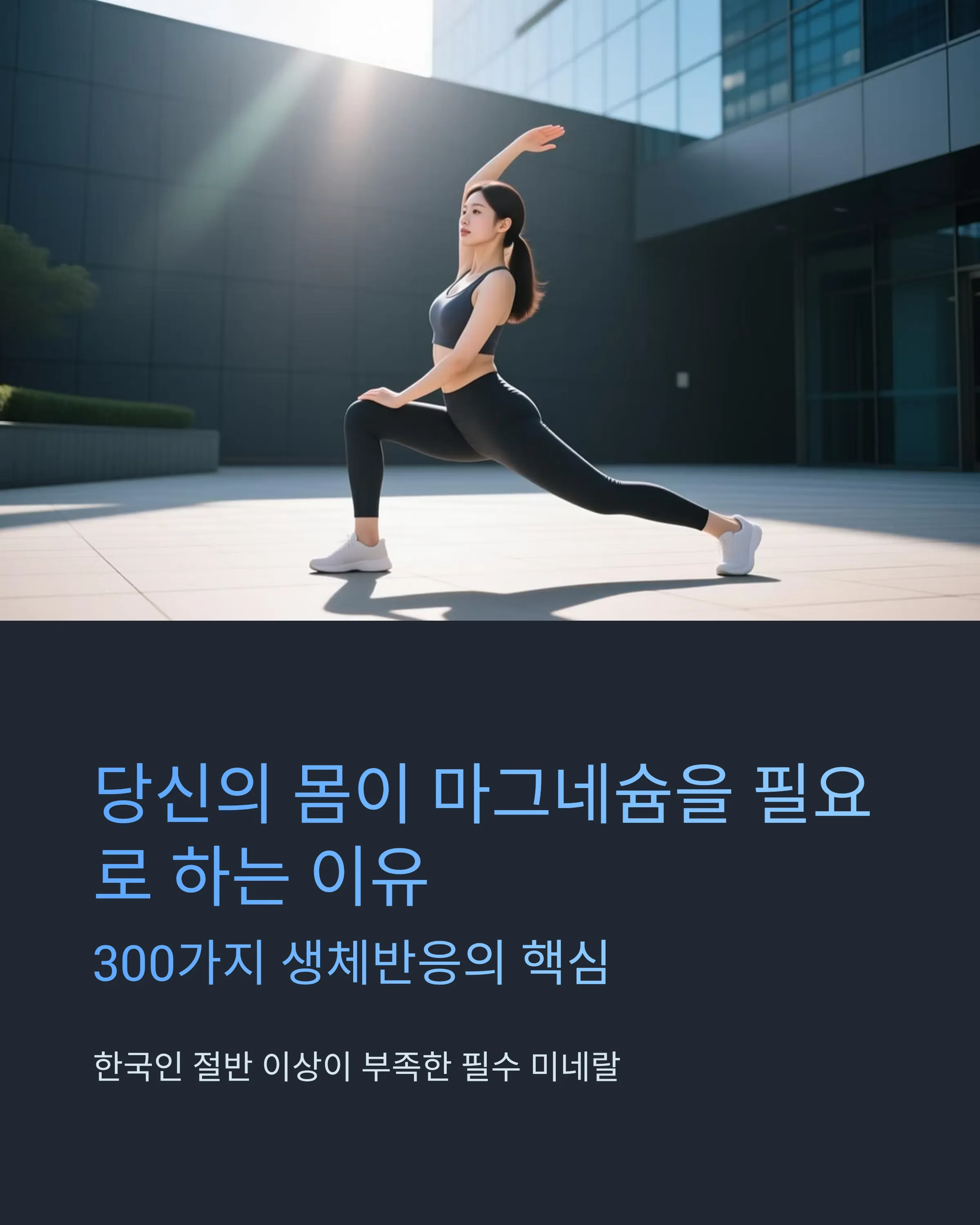 마그네슘