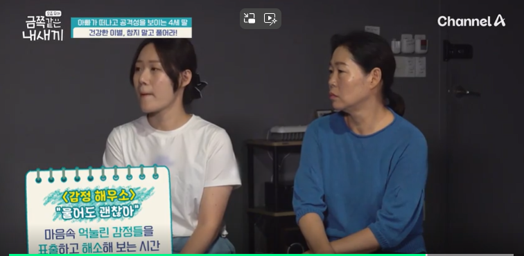 금쪽같은-내새끼-201회