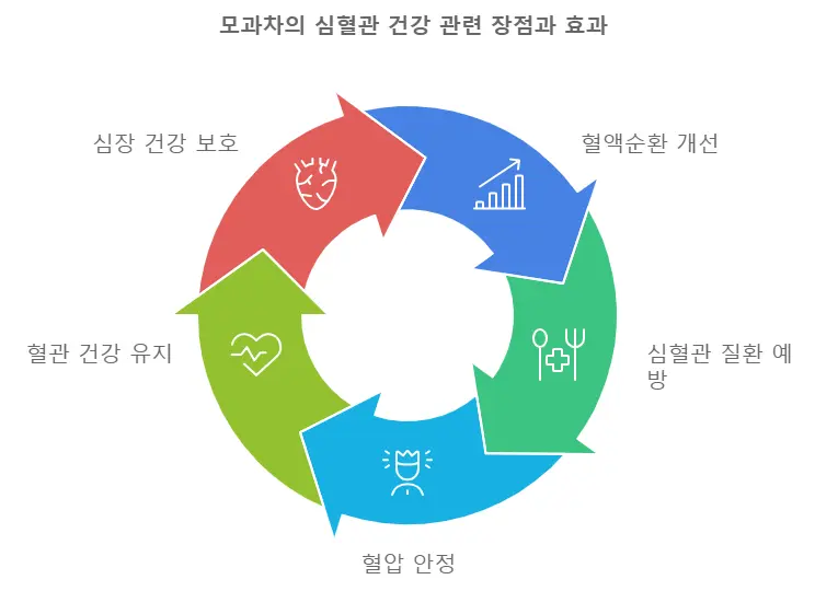 모과차 심혈관 개선 효능