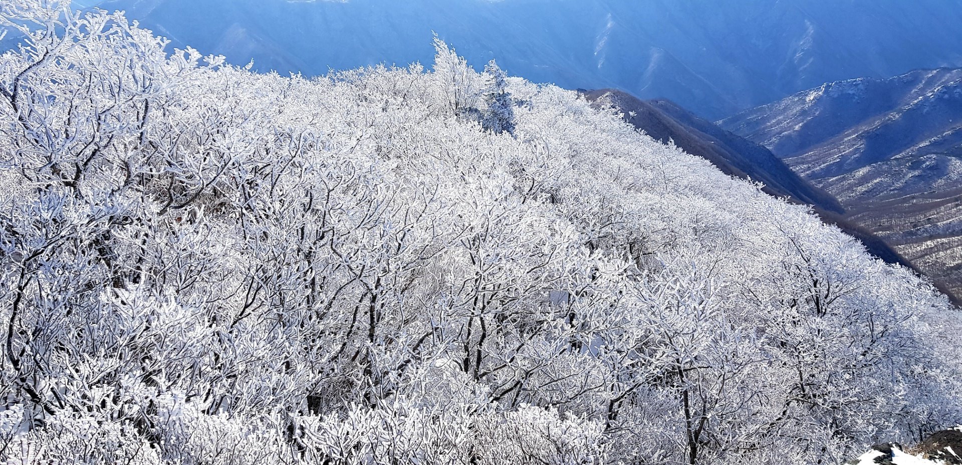 울산 가지산17 설경과 상고대