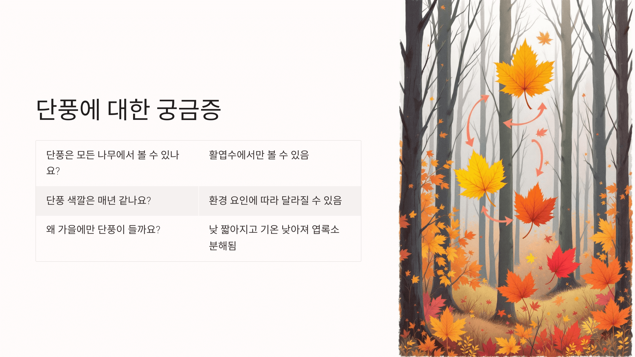 단풍 사진입니다.