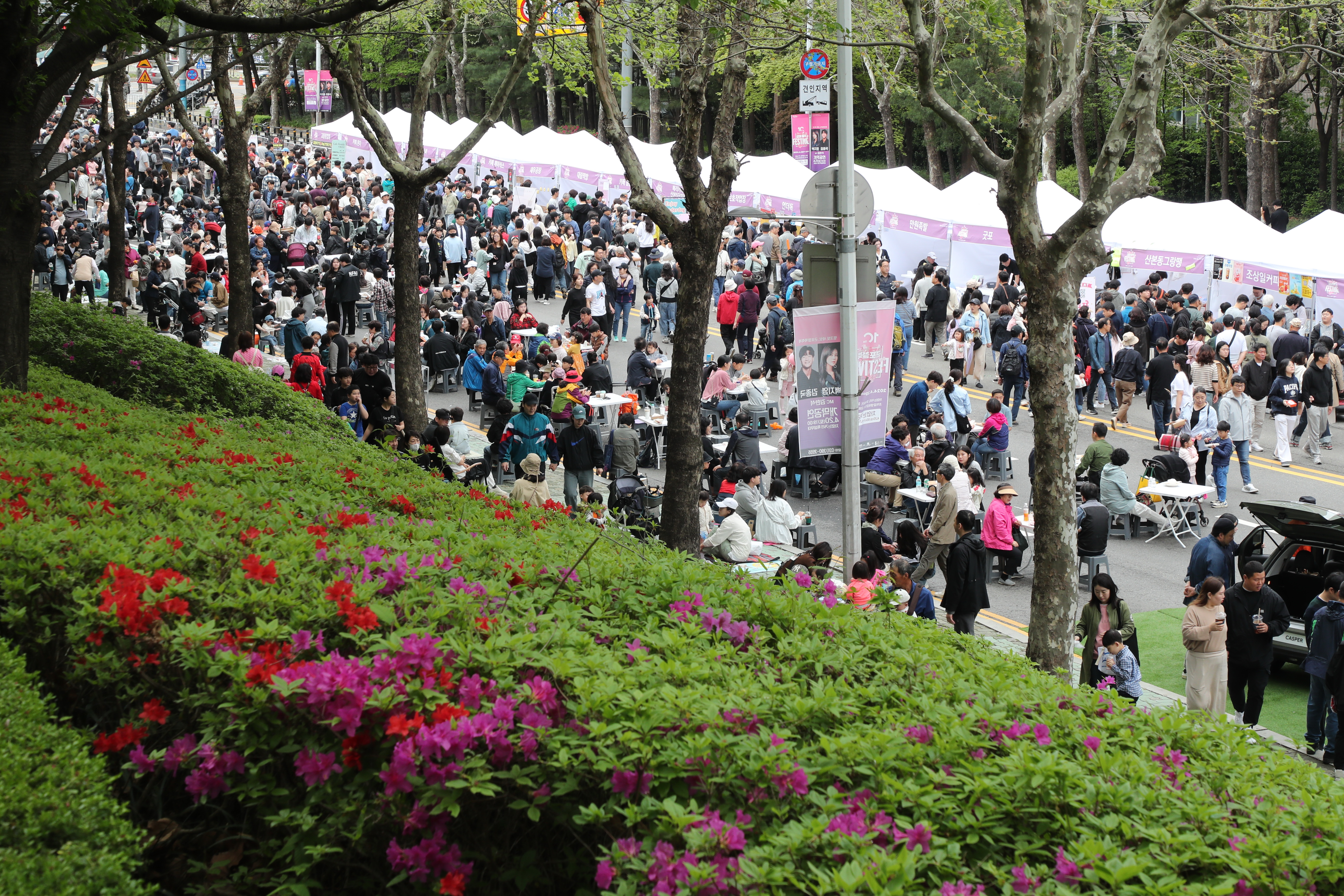 경기 군포 철쭉축제: 기간,행사내용,주차장,볼거리,맛집