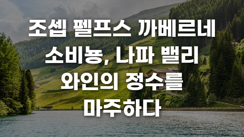 조셉 펠프스 까베르네 소비뇽 사진 1
