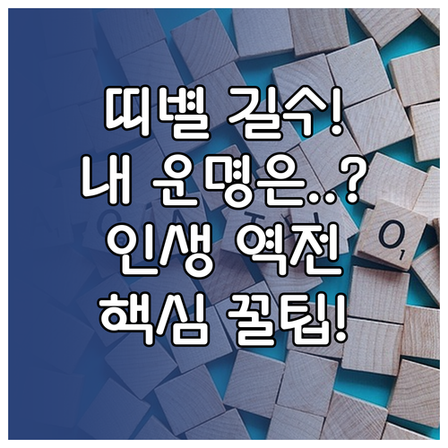 12지신별 길수 심층 분석과 운명을 ..
