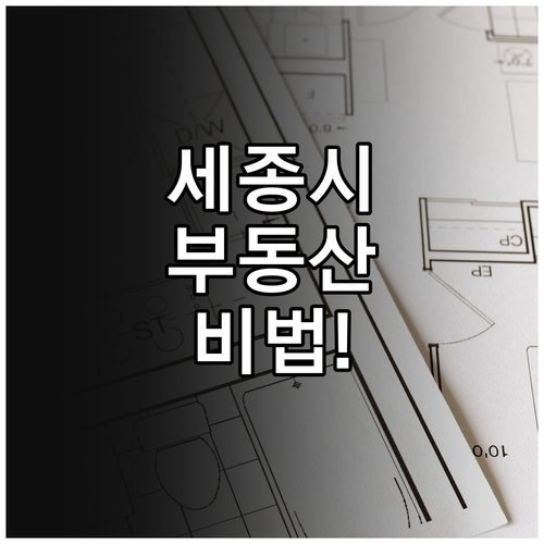세종시 부동산 매물 비교와 교차로 플..