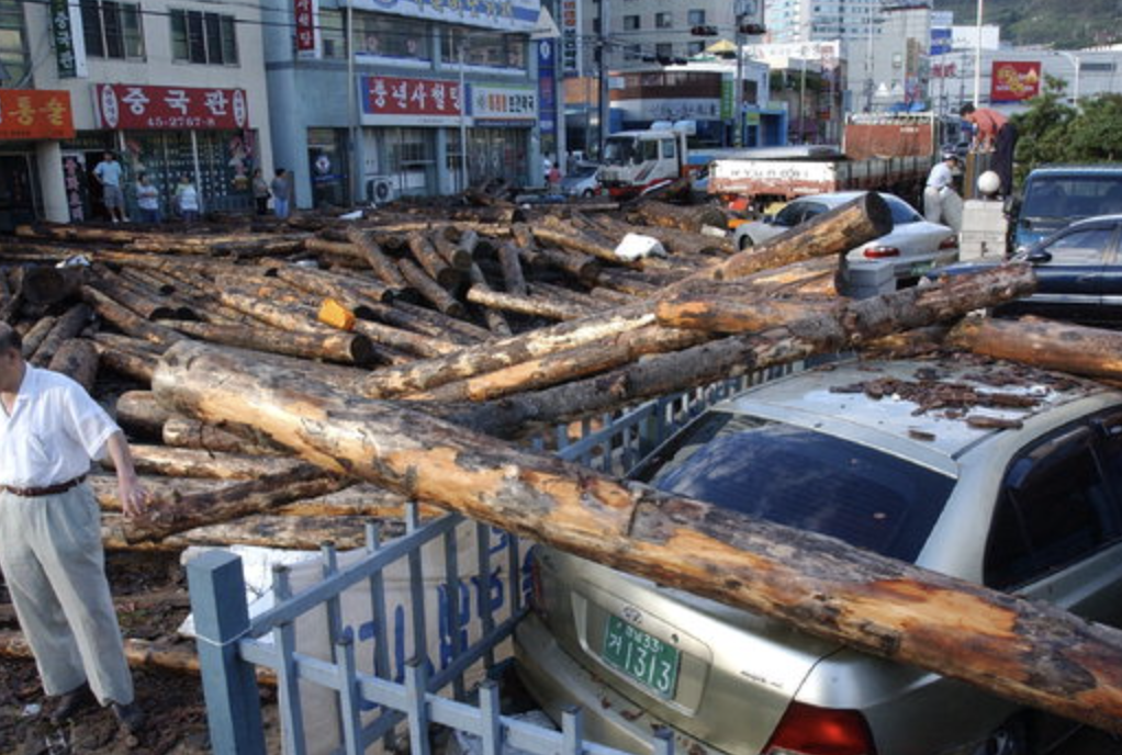 우리나라 역대 태풍 피해액 순위 TOP10