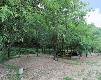 제주 곶자왈 숲속 캠핑장