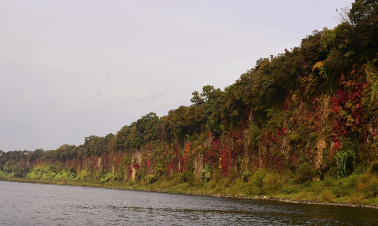 임진강 주상절리