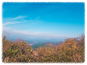 남산