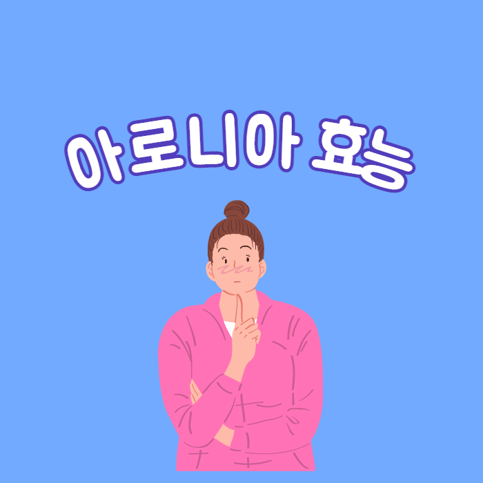 아로니아효능