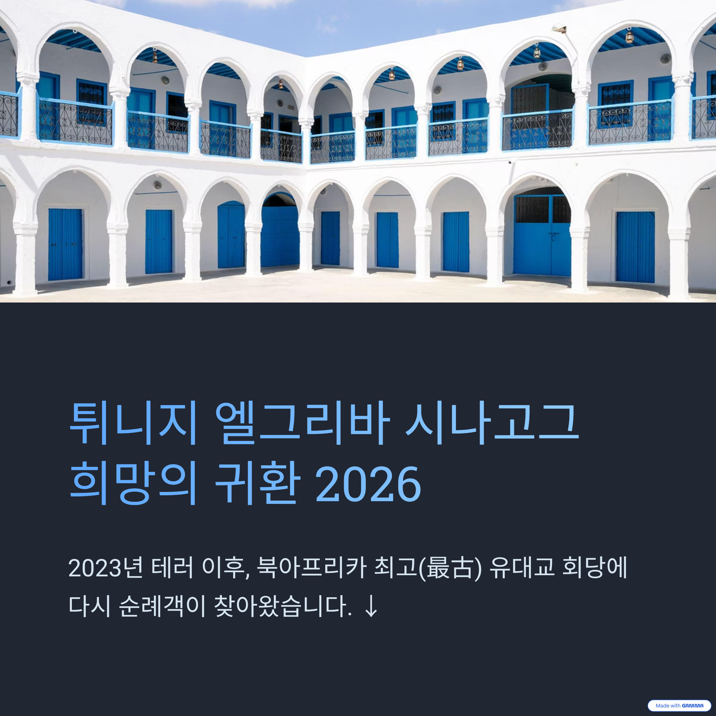튀니지 제르바 엘그리바 시나고그 순례 재개