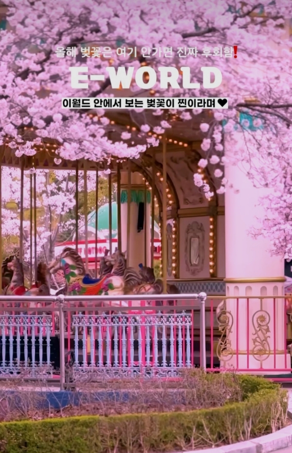 대구 이월드 블라썸 피크닉