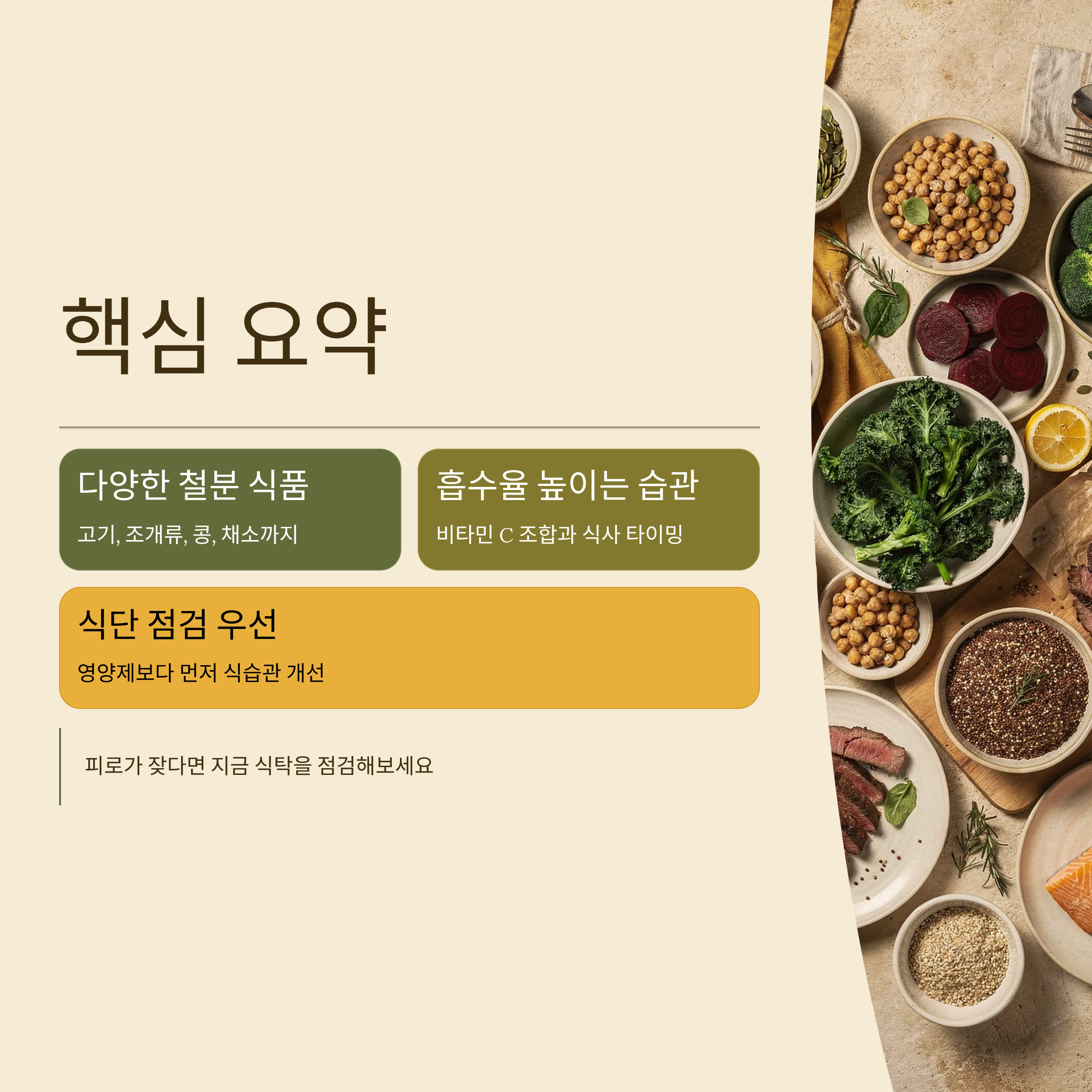 철분 많은 음식 핵심요약