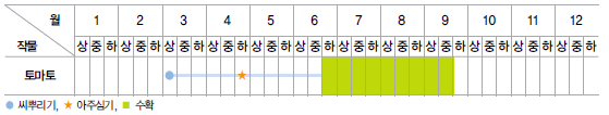 토마토 재배일정