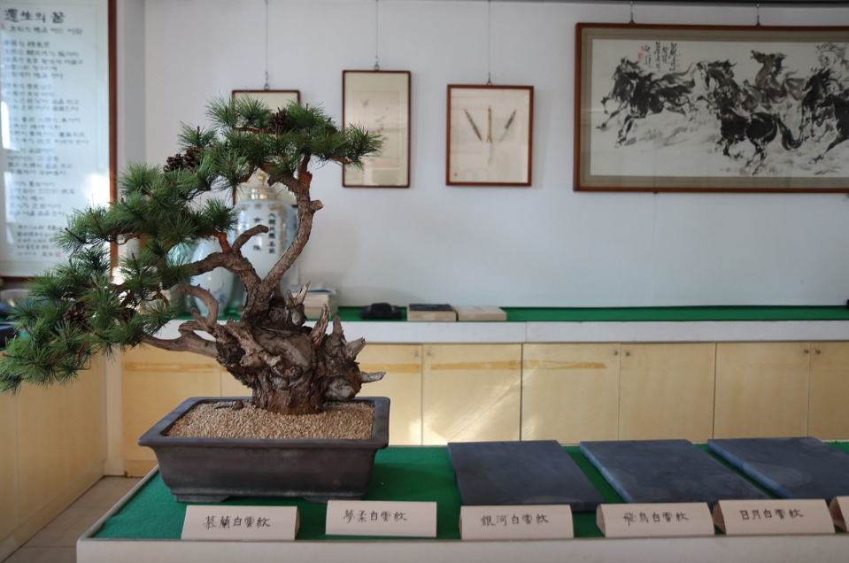 6시내고향 충남 보령 벼루 오이 주꾸미 축제 청보리밭 관련 정보