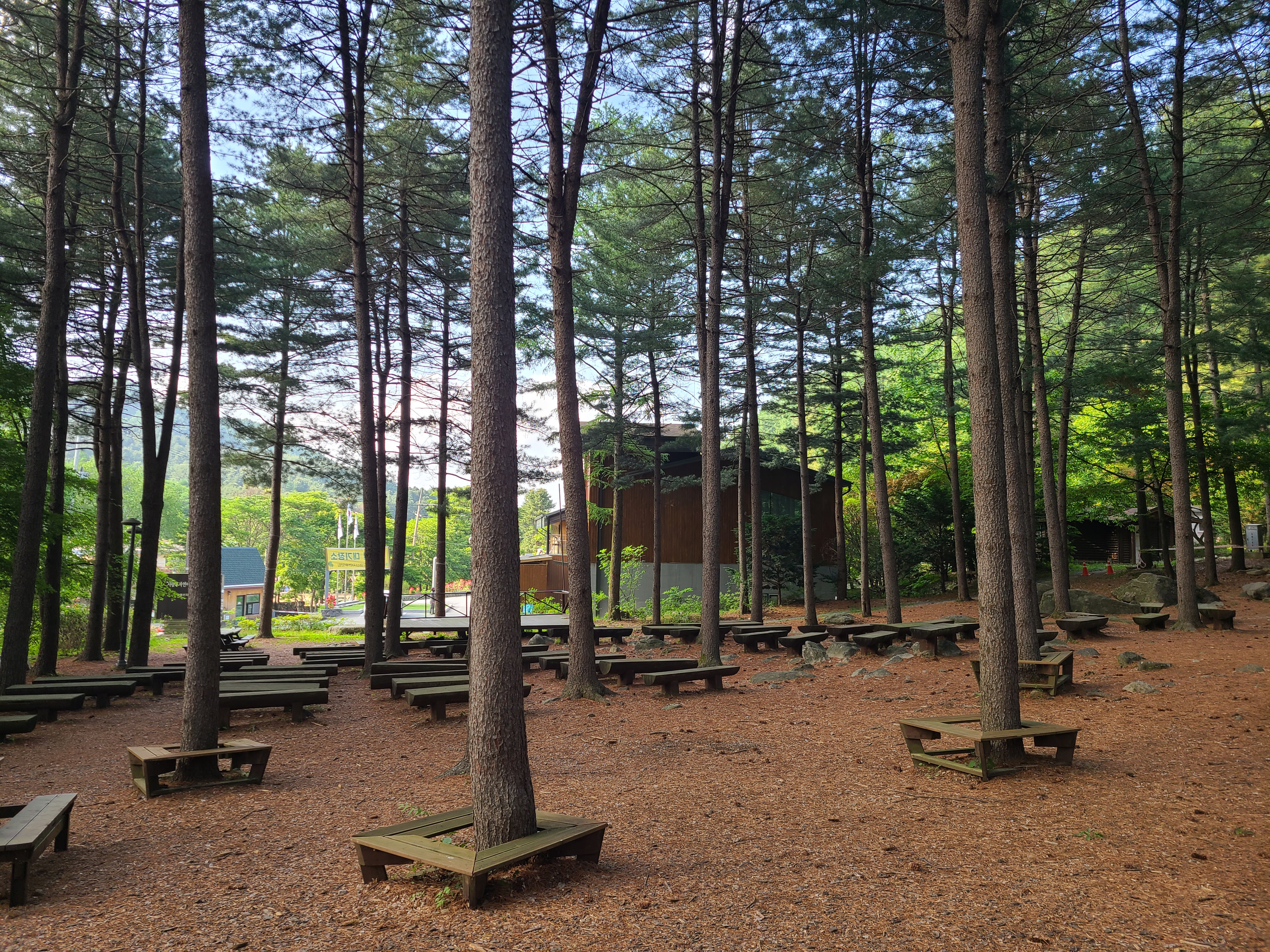 유명산자연휴양림 숲체험장