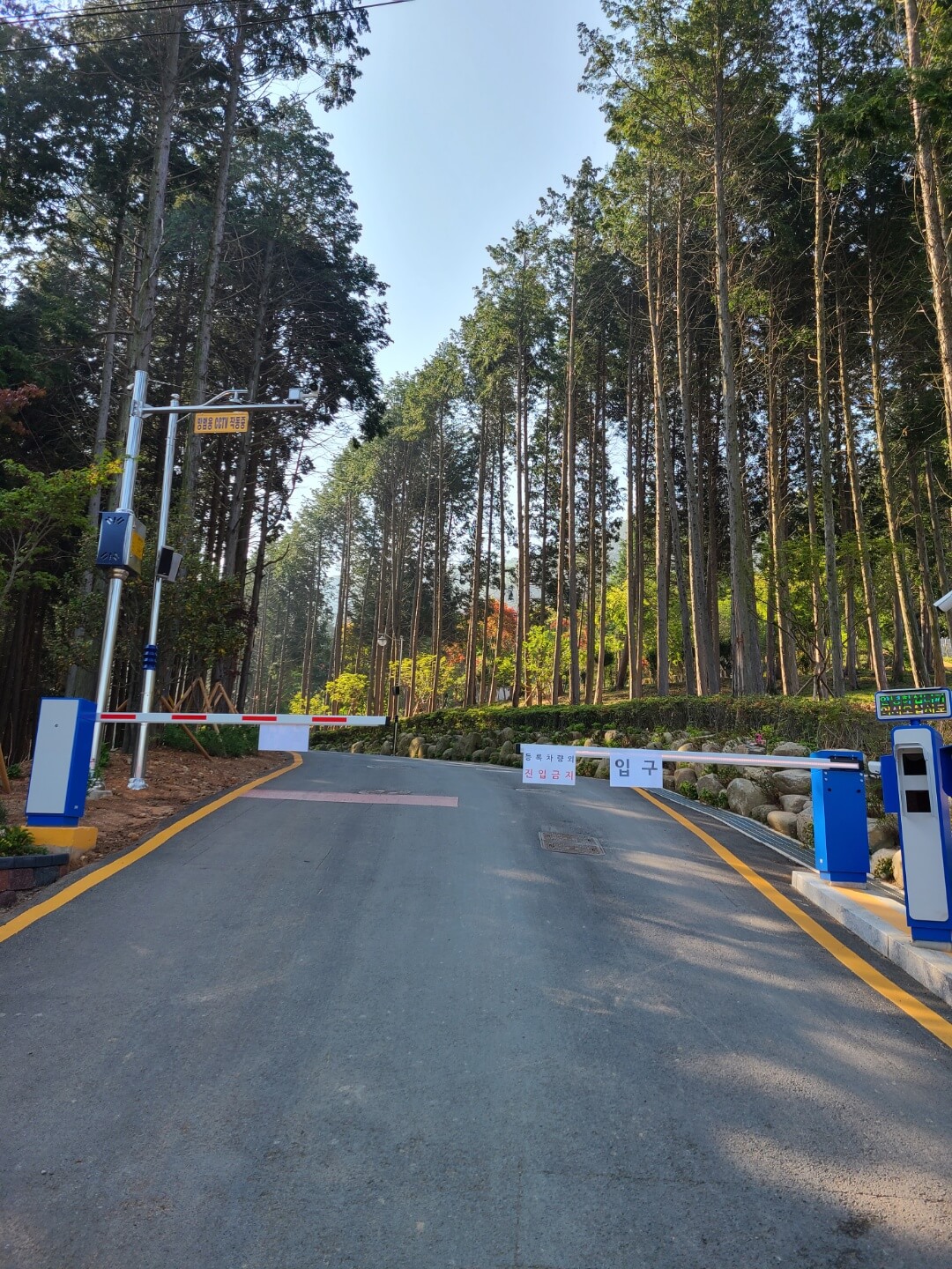 사천 케이블카 자연휴양림