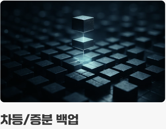 무료 버전만으로도 충분한 이유