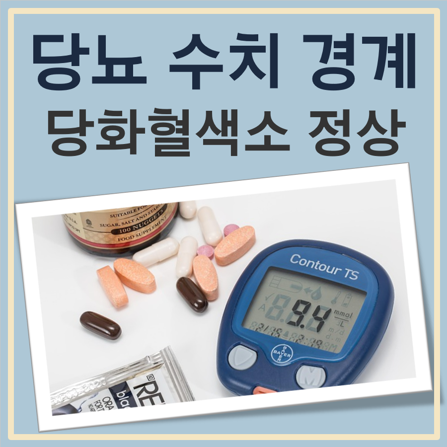 당뇨 수치 경계 당화혈색소 정상 범위