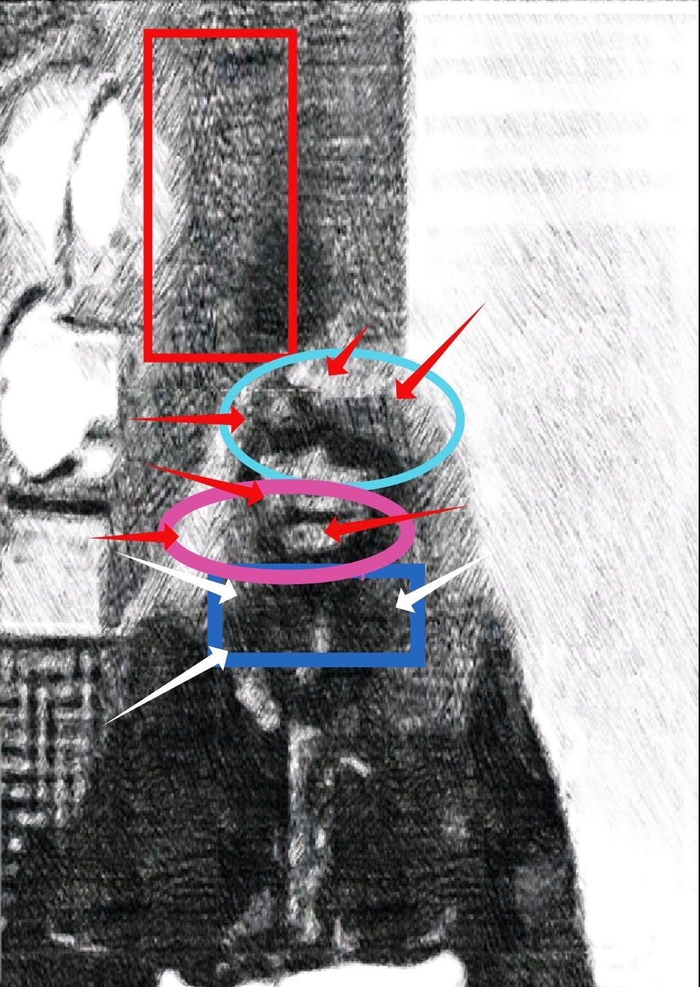 img.jpg?credential=yqXZFxpELC7KVnFOS48yl