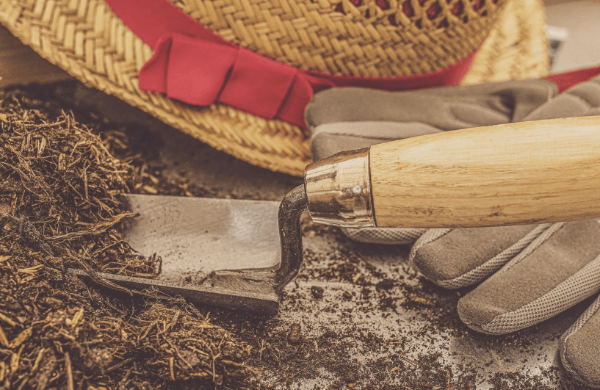 분갈이 제대로 하는 방법, 분갈이 흙과 모종삽