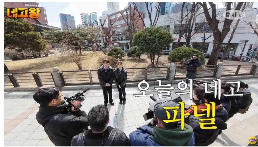 파넬&amp;#44; 파넬 쿠션