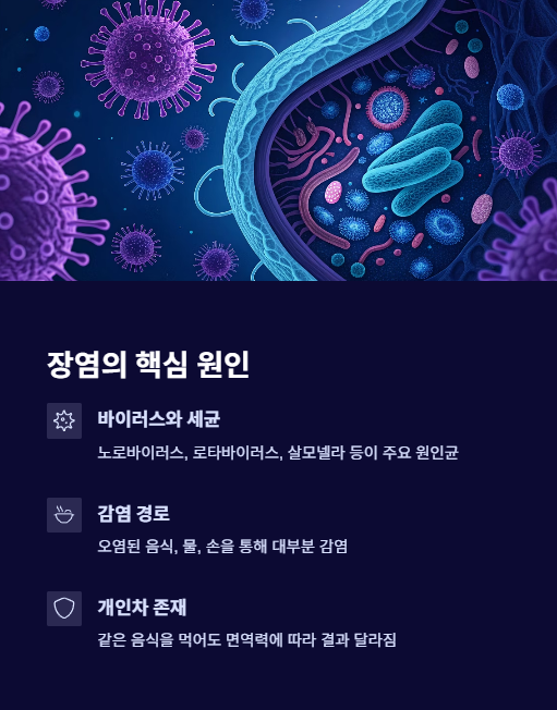 장염의 핵심 원인