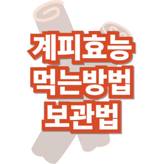 계피-효능-먹는-방법-보관-법