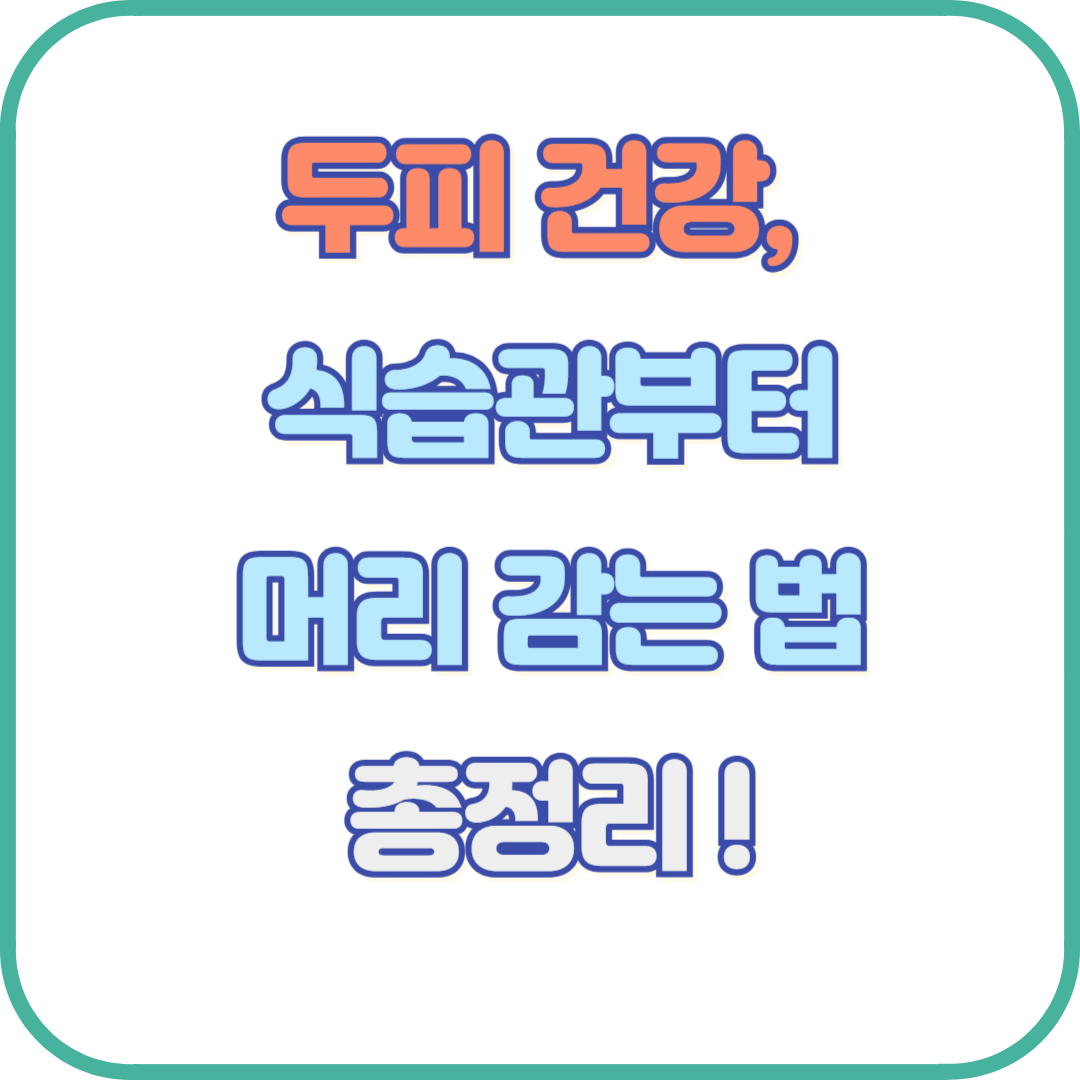두피 건강, 머리 감는 법만 바꿔도 달라진다! 탈모 막는 식단과 영양제까지 총정리
