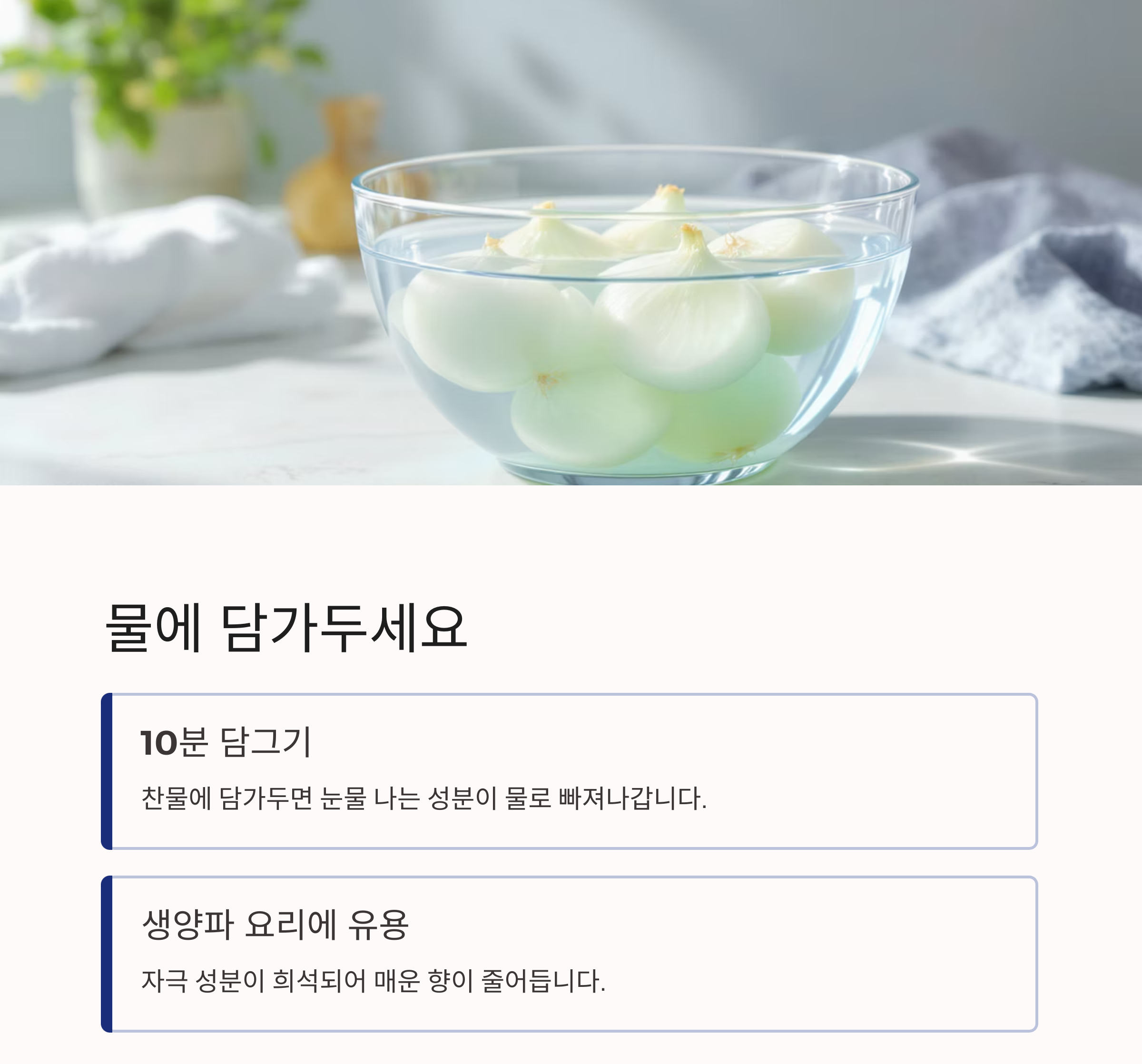 양파 썰 때 눈물 안 나는 꿀팁 대공개! 요리 초보도 웃으며 썬다