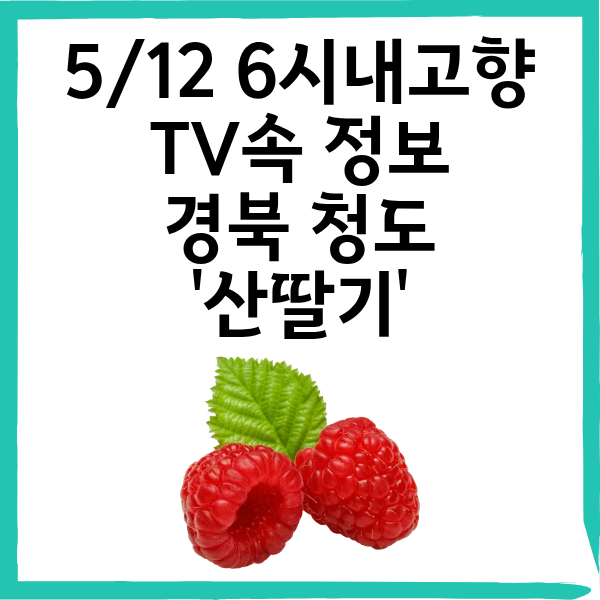 5월 12일 6시내고향 산딸기 운문팜영농조합 구매방법 총정리