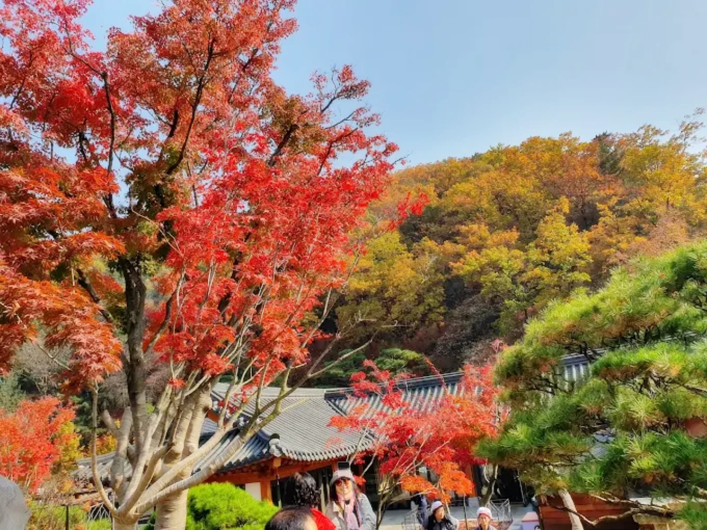 화담숲 숨은 포토스팟