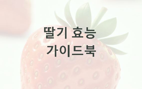 딸기 효능 가이드북
