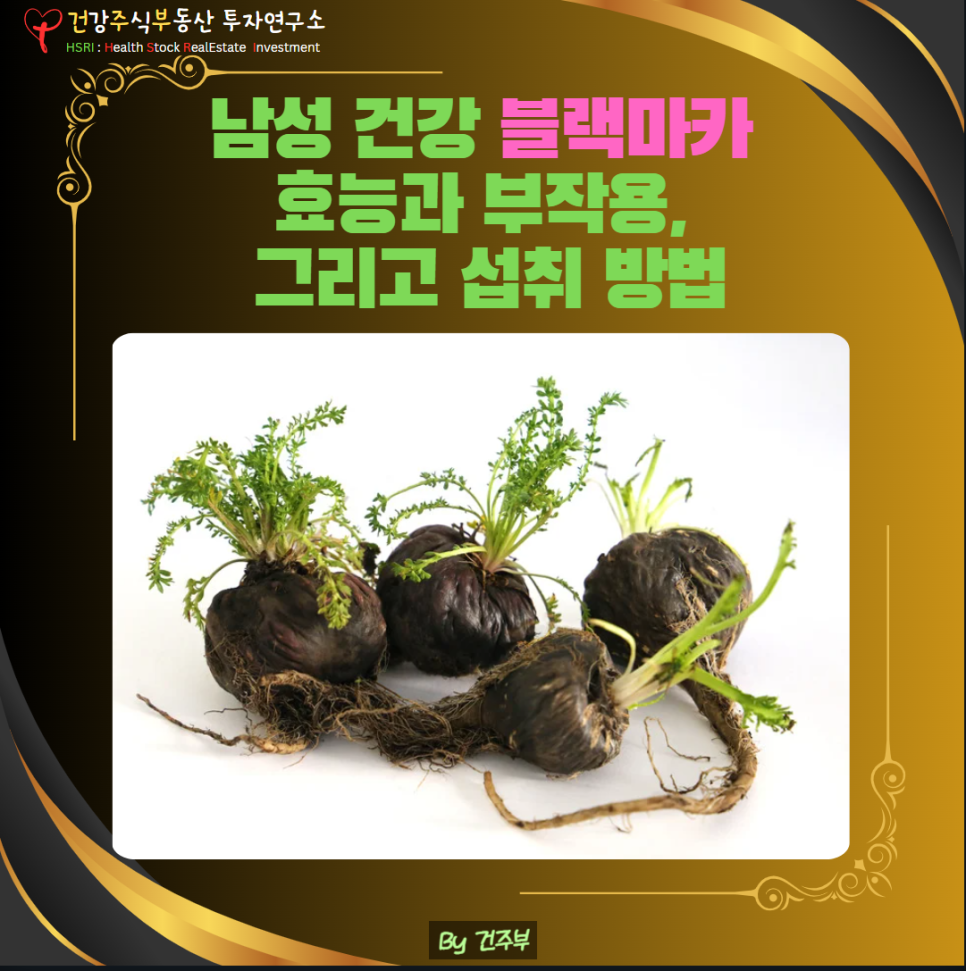 남성 건강에 좋은 블랙마카 효능과 부작용, 그리고 섭취 방법 건주부