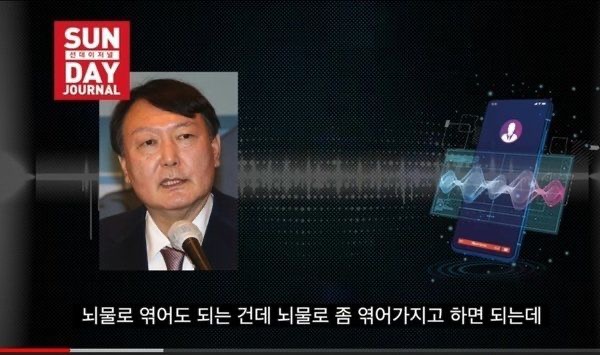 배인규 대표 정치 성향 및 윤석열 지지