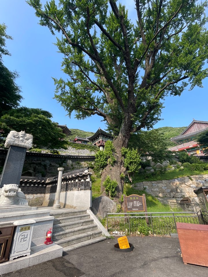 보문사