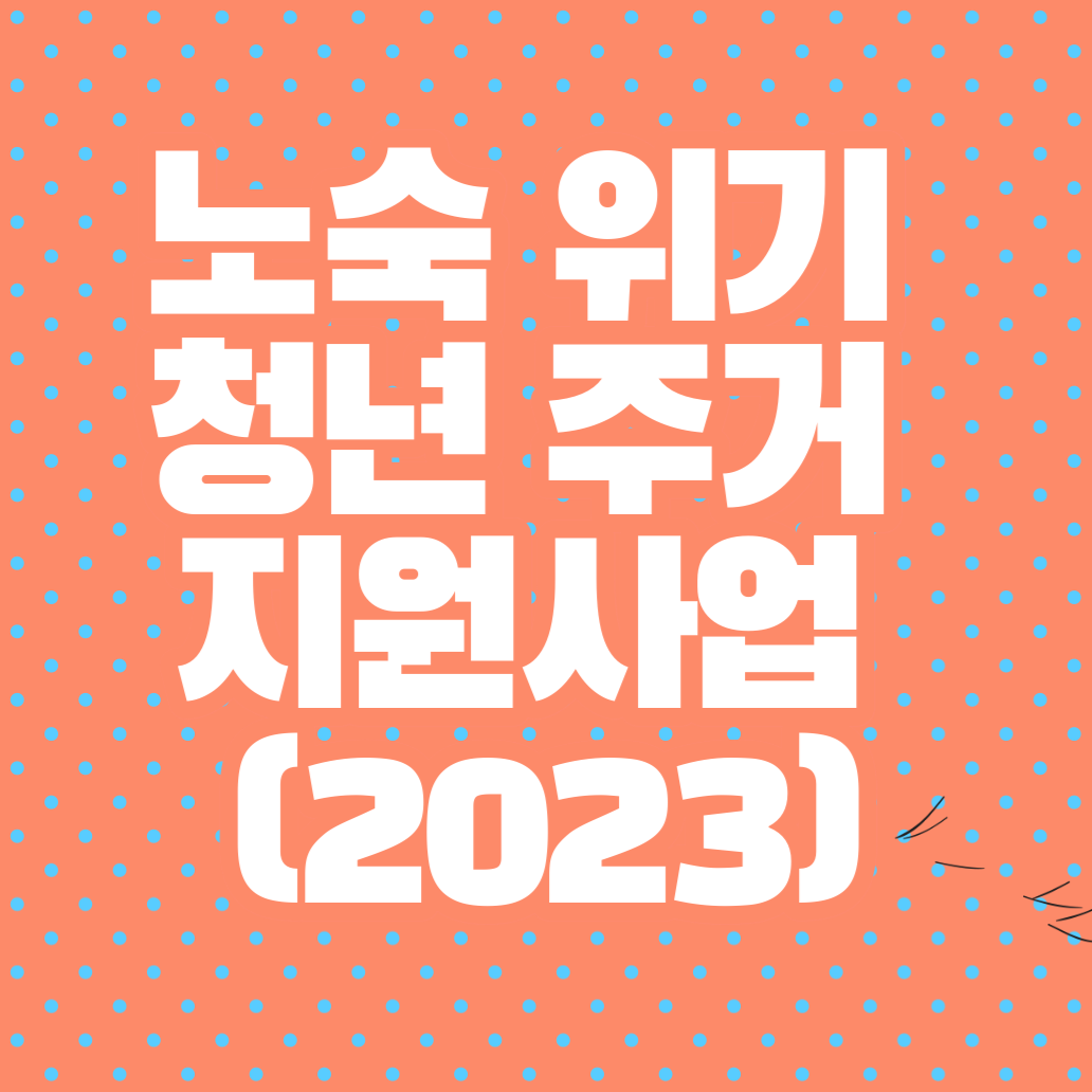 노숙 위기청년 주거 지원사업 (2023)