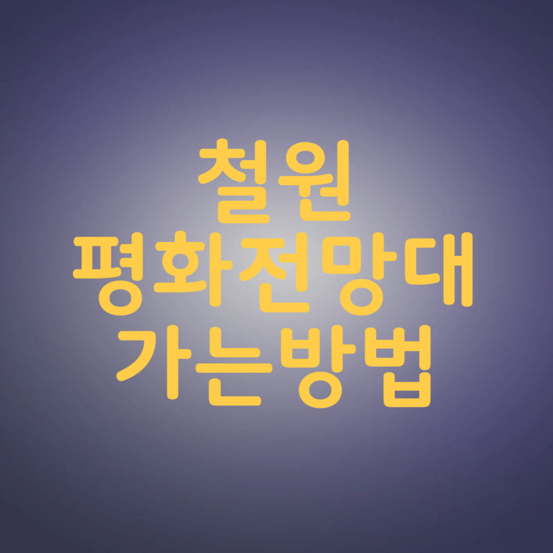 철원 평화전망대 모노레일 안보관광